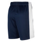 SHORT  FRANCE  HOME 2021 JORDAN X FFBB