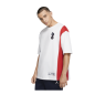 T-SHIRT COQ JORDAN X FFBB